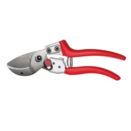 Φωτογραφία