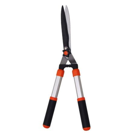 Φωτογραφία