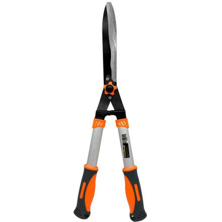 Φωτογραφία