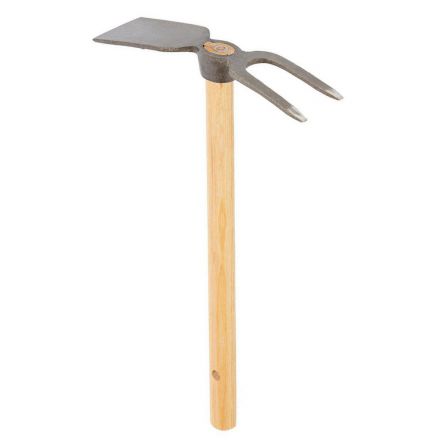 Φωτογραφία