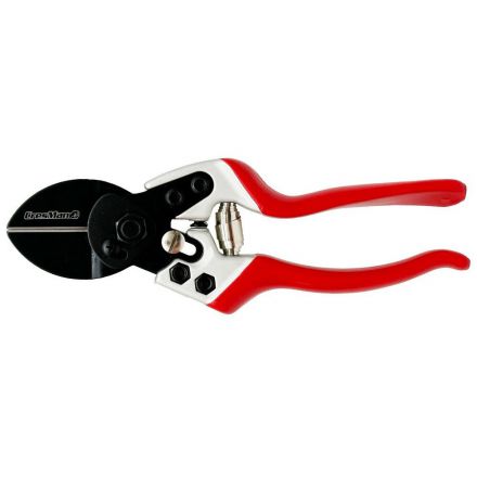 Φωτογραφία