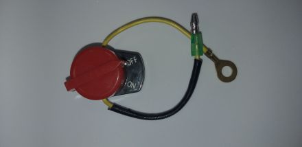 Φωτογραφία