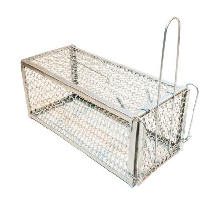 Φωτογραφία