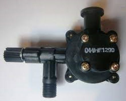 Φωτογραφία