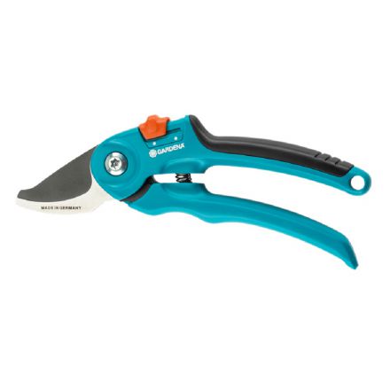 Φωτογραφία