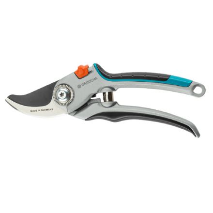 Φωτογραφία