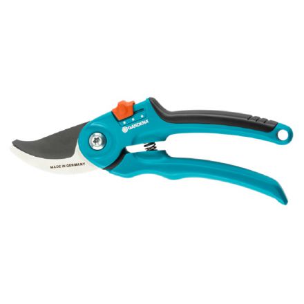 Φωτογραφία