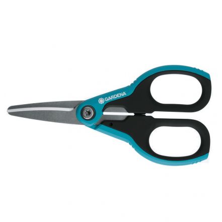 Φωτογραφία