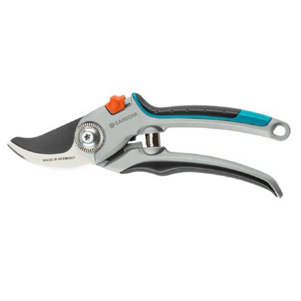 Φωτογραφία