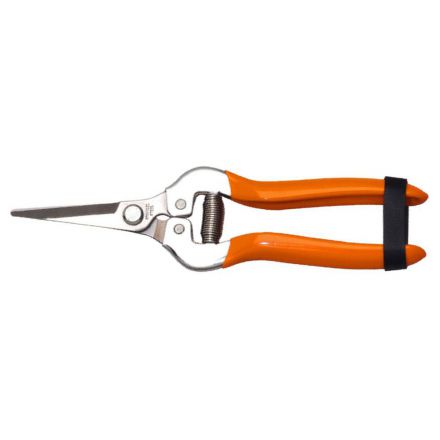 Φωτογραφία