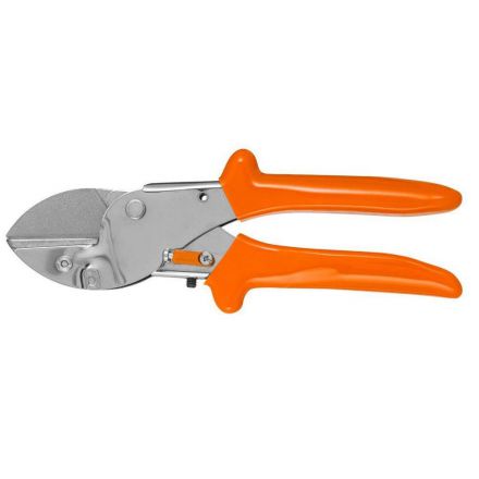 Φωτογραφία