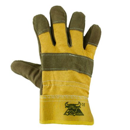 Φωτογραφία