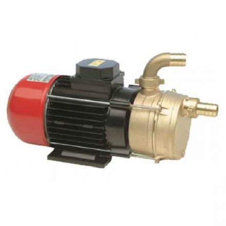 Φωτογραφία