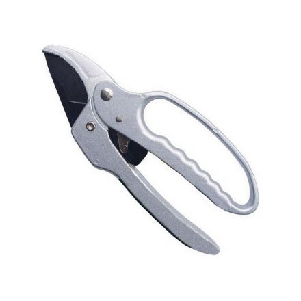 Φωτογραφία