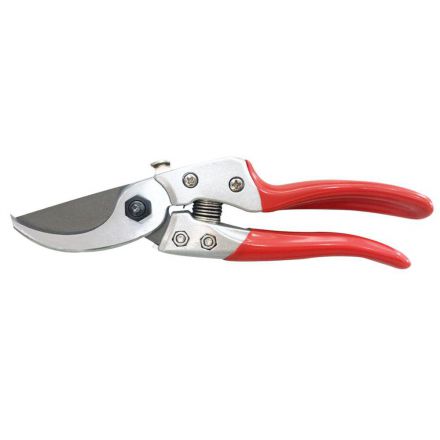 Φωτογραφία