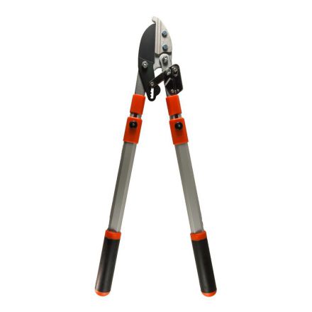 Φωτογραφία