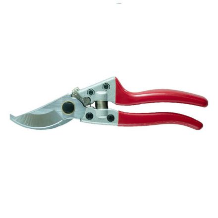 Φωτογραφία