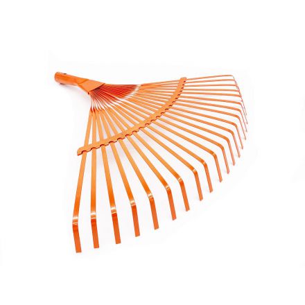 Φωτογραφία