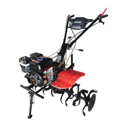 Φωτογραφία