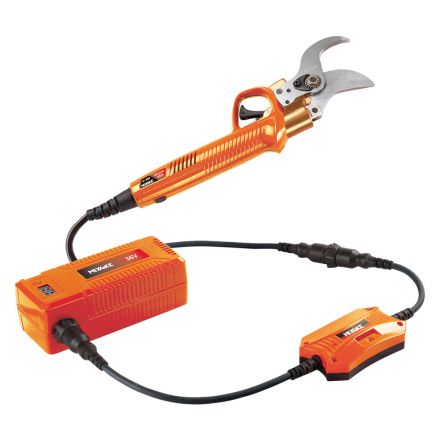 Φωτογραφία