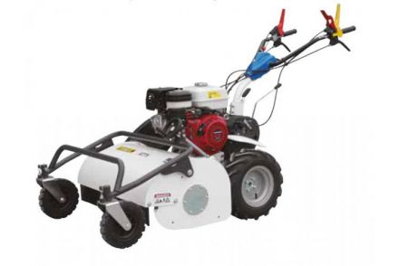 Φωτογραφία