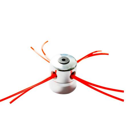 Φωτογραφία