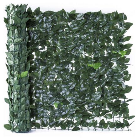 Φωτογραφία