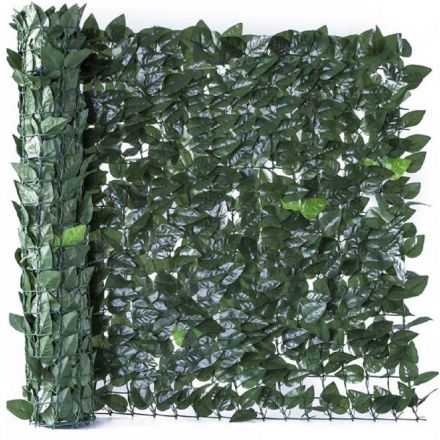 Φωτογραφία