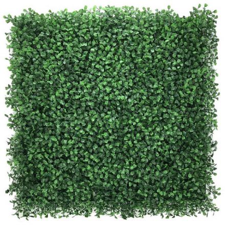 Φωτογραφία