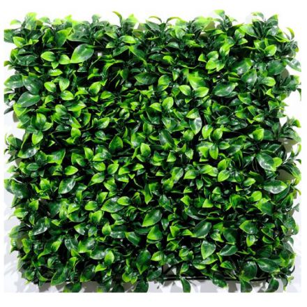 Φωτογραφία