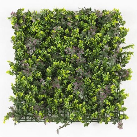 Φωτογραφία