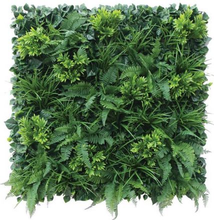 Φωτογραφία