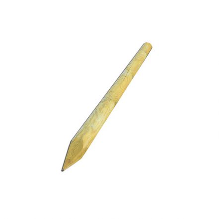 Φωτογραφία