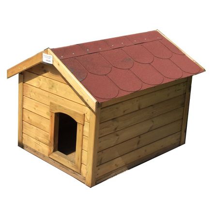 Φωτογραφία