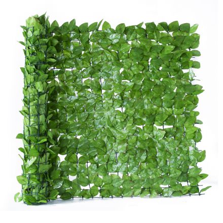 Φωτογραφία