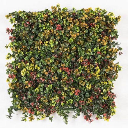 Φωτογραφία