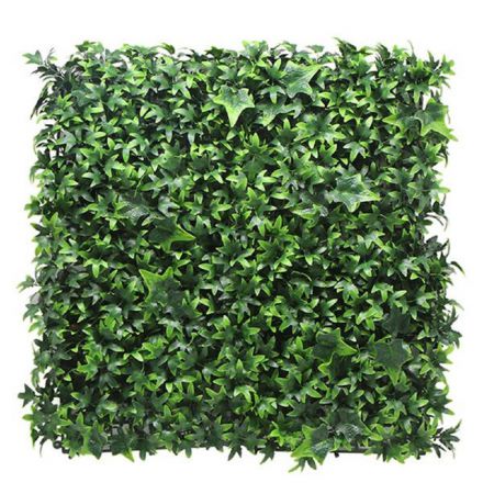 Φωτογραφία