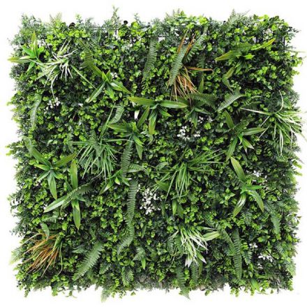 Φωτογραφία