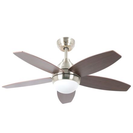 Φωτογραφία