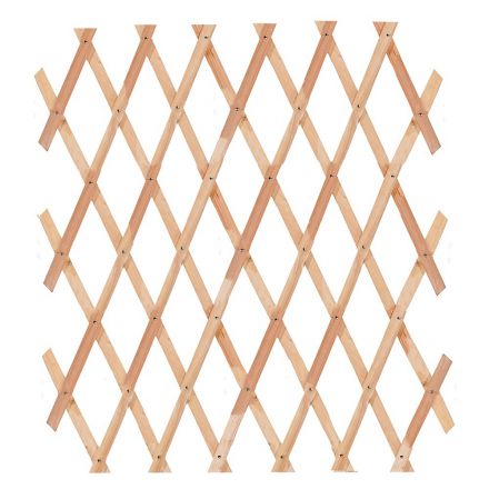 Φωτογραφία