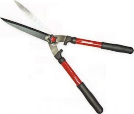 Φωτογραφία