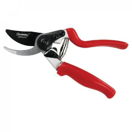 Φωτογραφία