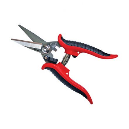 Φωτογραφία