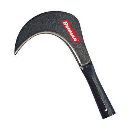 Φωτογραφία