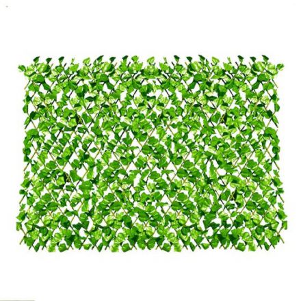 Φωτογραφία