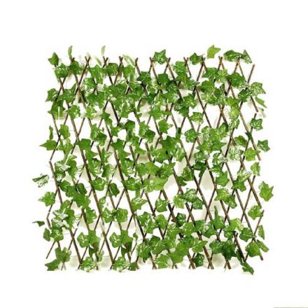 Φωτογραφία