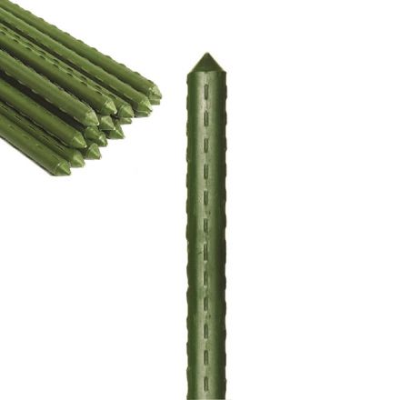 Φωτογραφία