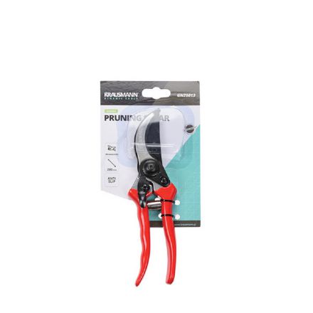 Φωτογραφία