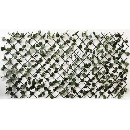 Φωτογραφία