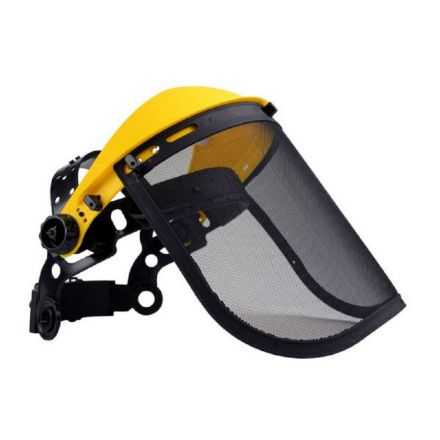 Φωτογραφία